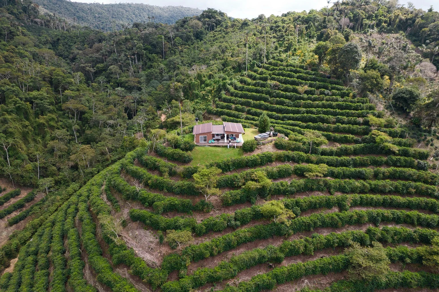 Los Alasitas