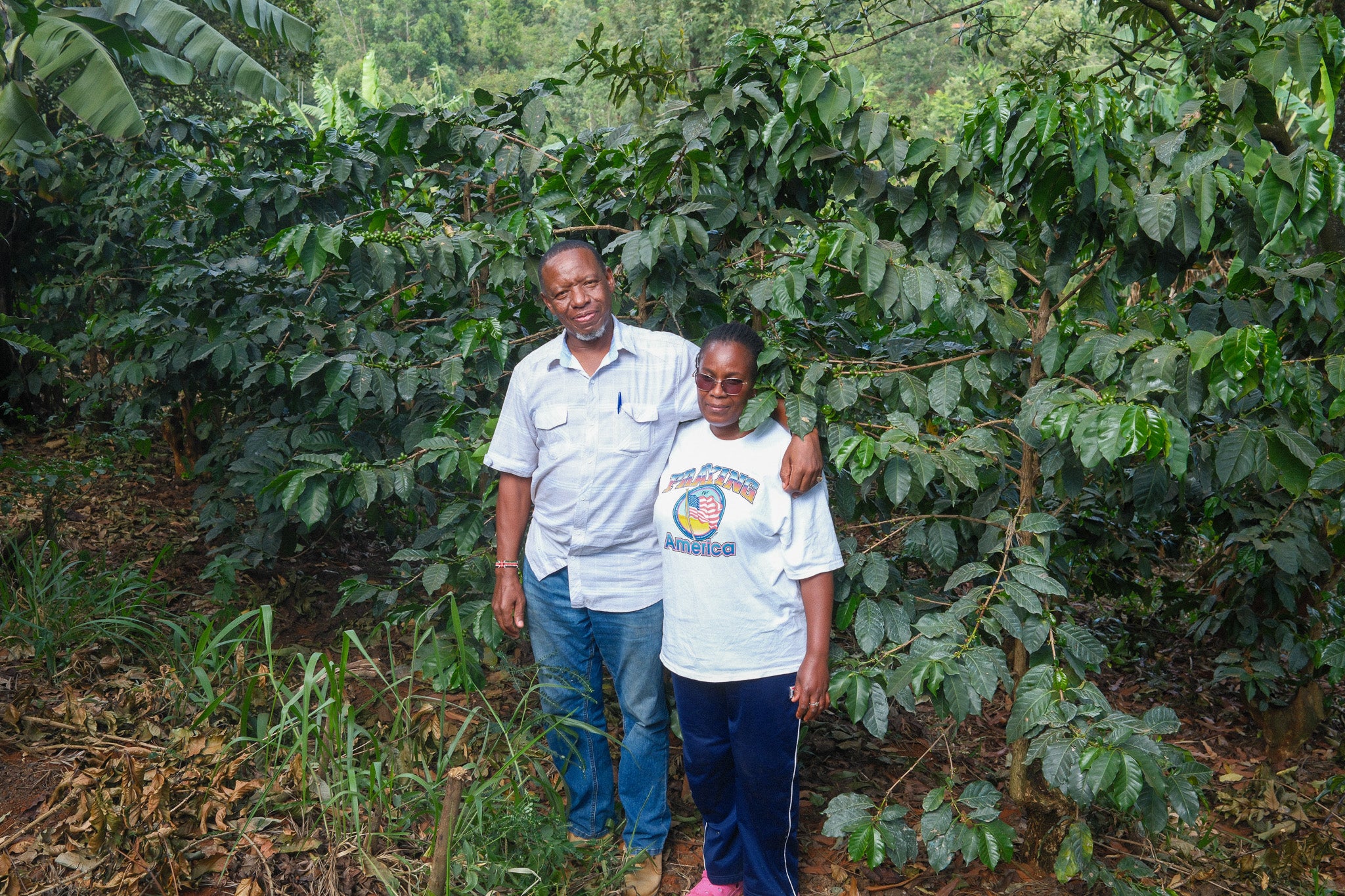 Mbokam Estate AA SL28